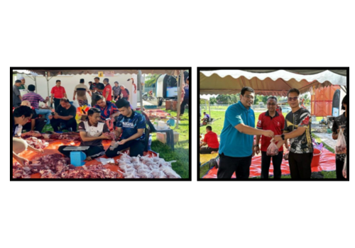 This image for Image Layouts addon